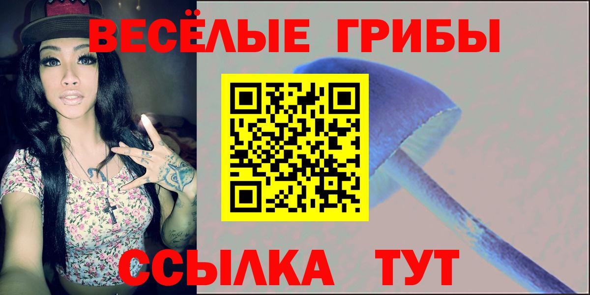 Алексин  Галлюциногенные грибы мицелий  Вход с VPN 
